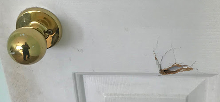 interior door hole repair Fowler