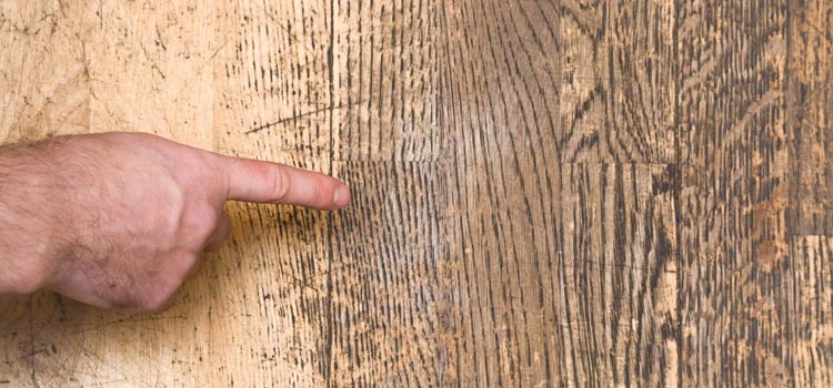 Wood Door Scratch Repair in Fowler